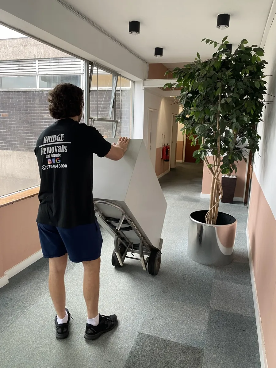 Office Removals